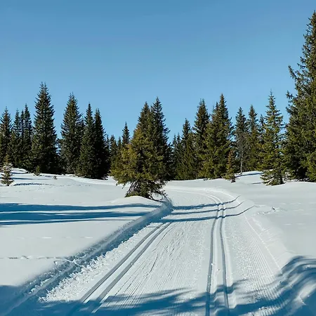 Casa vacanze Mountain At End Of Quiet Road Near Tisleia