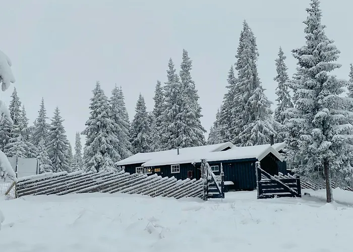 Semesterbostad With Inout Near Gribbe, Valdres