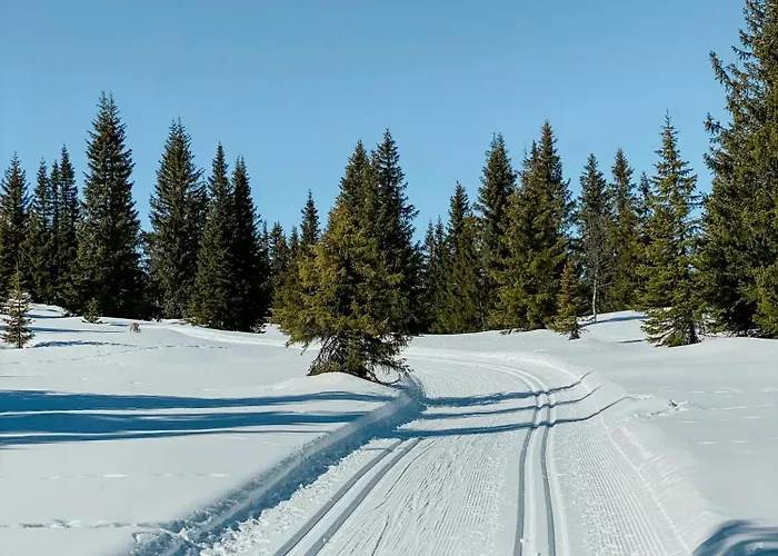 Feriehus With Inout Near Gribbe, Valdres