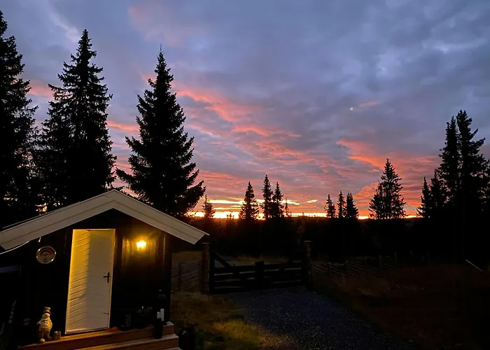 Feriehus With Inout Near Gribbe, Valdres
