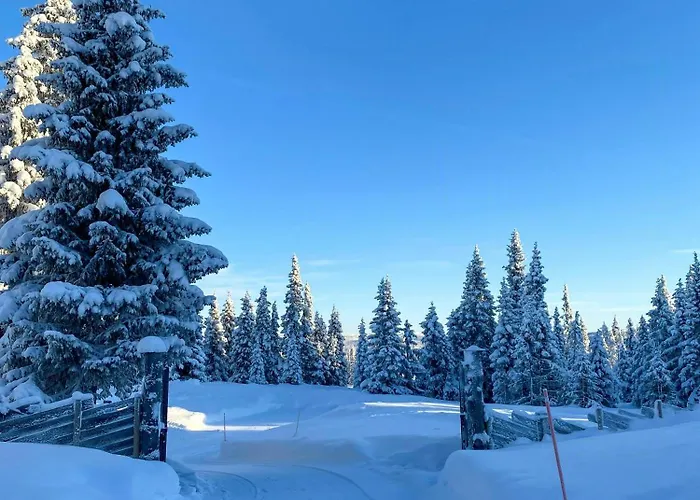 With Inout Near Gribbe, Valdres