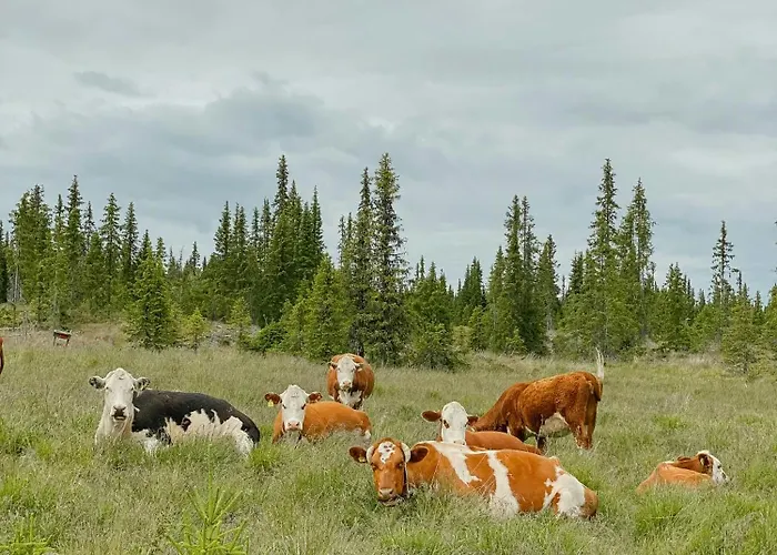 בית נופש With Inout Near Gribbe, Valdres Tisleidalen